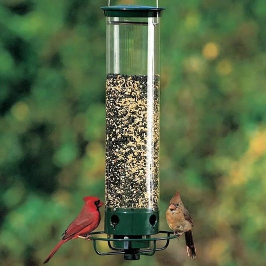 Mangeoire à oiseaux à l'épreuve des écureuils