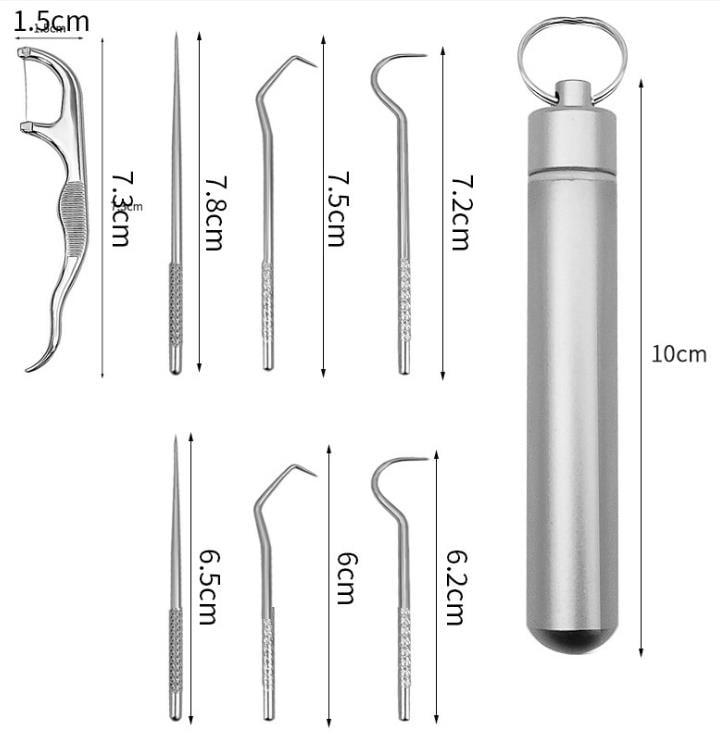 Stainless Steel Toothpick Set 7pcs Reusable