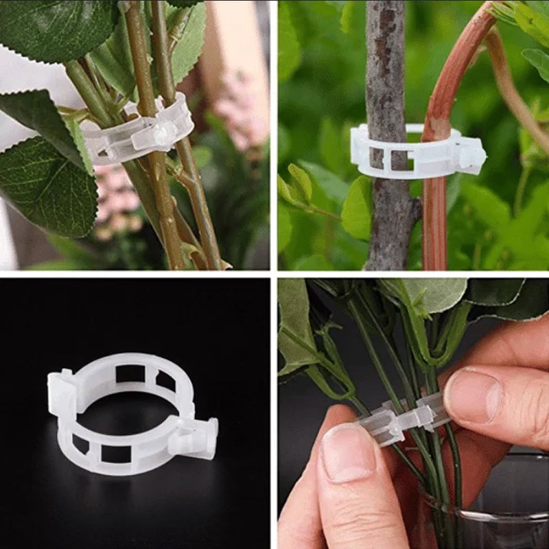 Clips de soporte de fijación de plantas