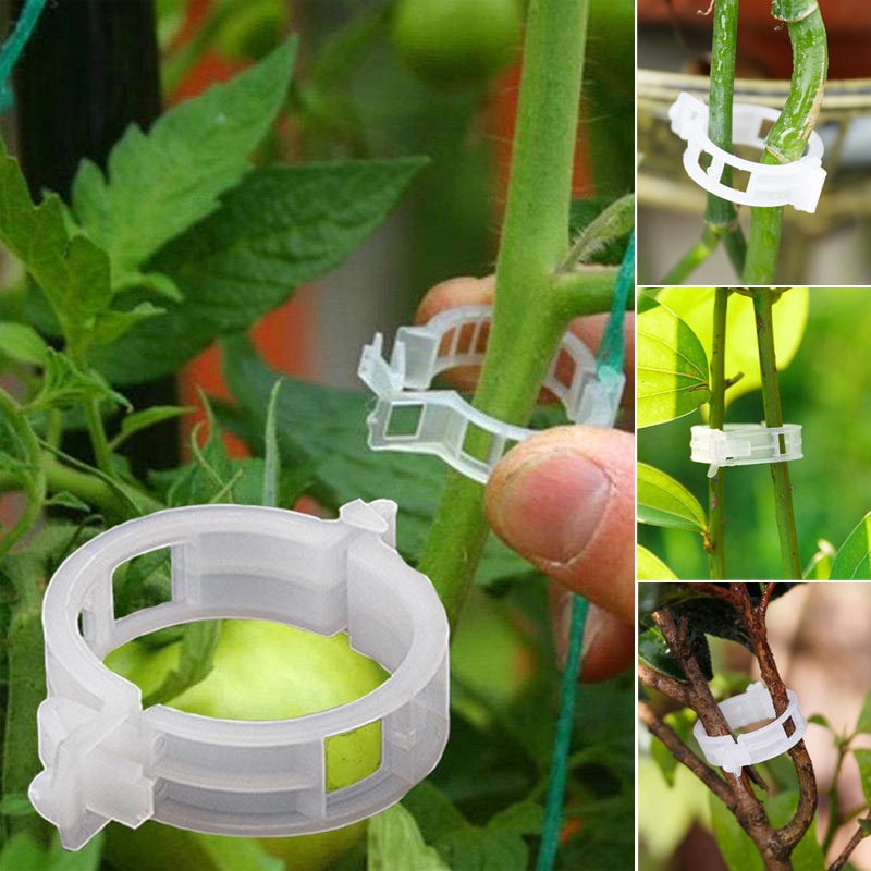 Clips de soporte de fijación de plantas