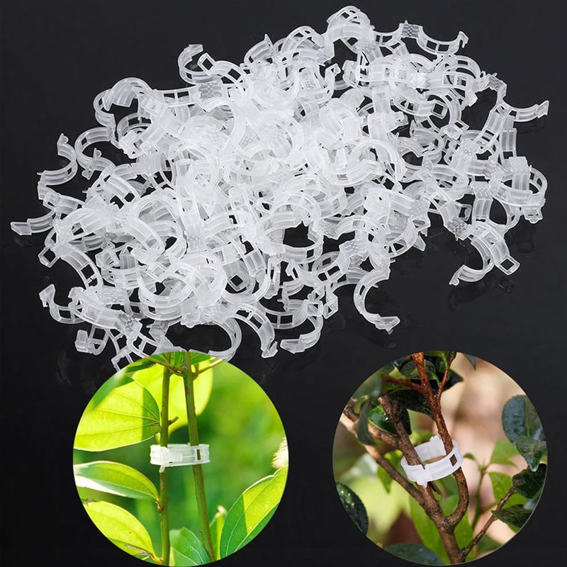 Clips de soporte vegetal (100pcs)