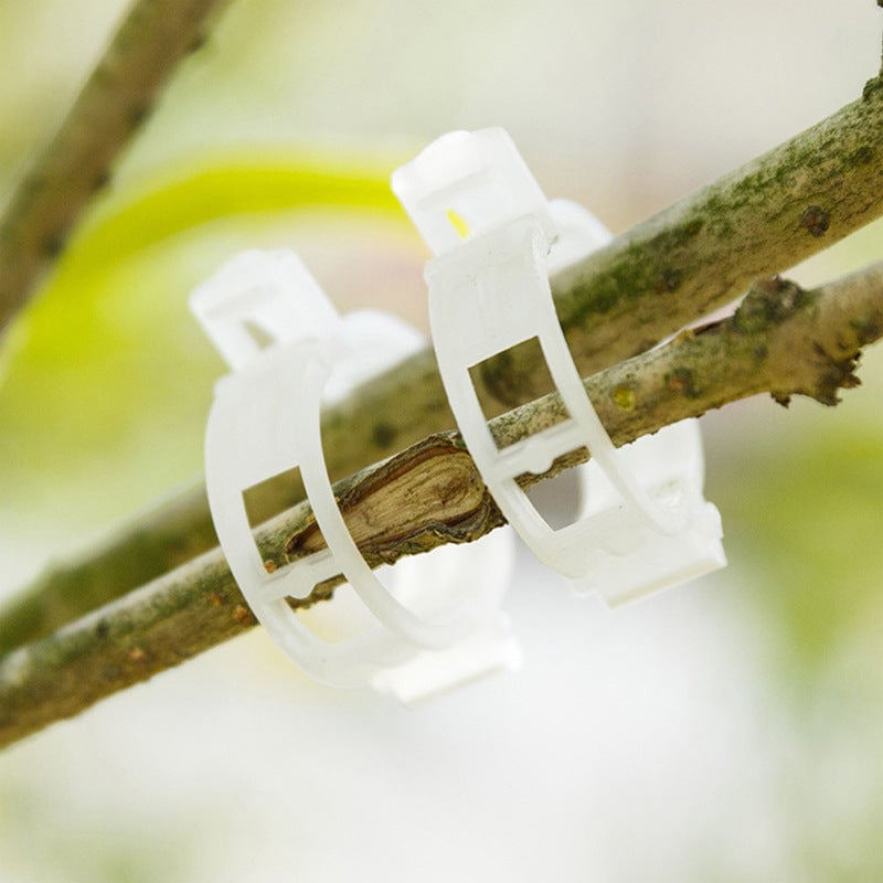 Clips de support de fixation des plantes