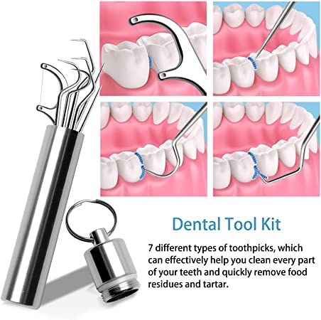 Stainless Steel Toothpick Set 7pcs Reusable