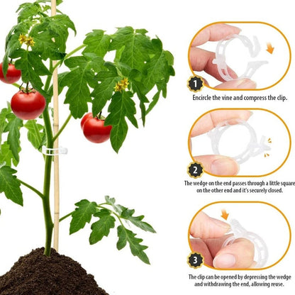 Clips de soporte de fijación de plantas