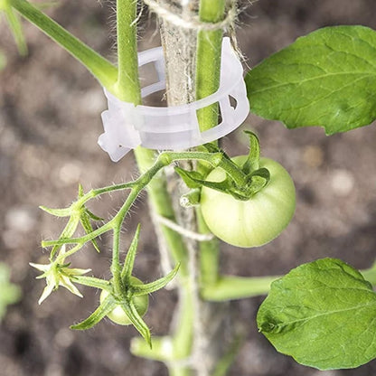 Clips de soporte de fijación de plantas