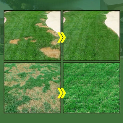 🌱Spray per prato di erba verde e controllo dei parassiti