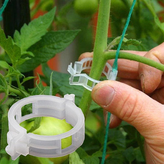 Clips de soporte de fijación de plantas