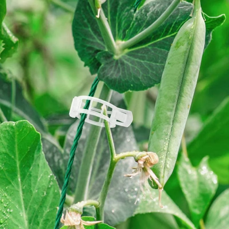 Clips de soporte de fijación de plantas